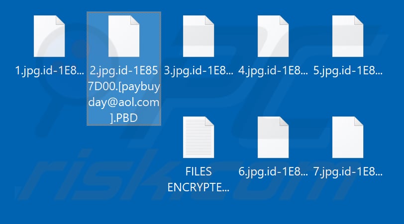 Files encrypted by PBD