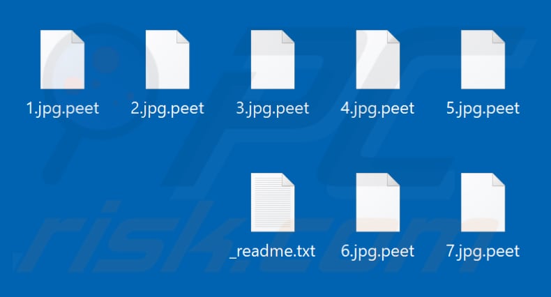 Files encrypted by Peet