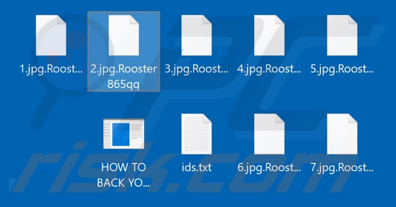 Files encrypted by Rooster865qq