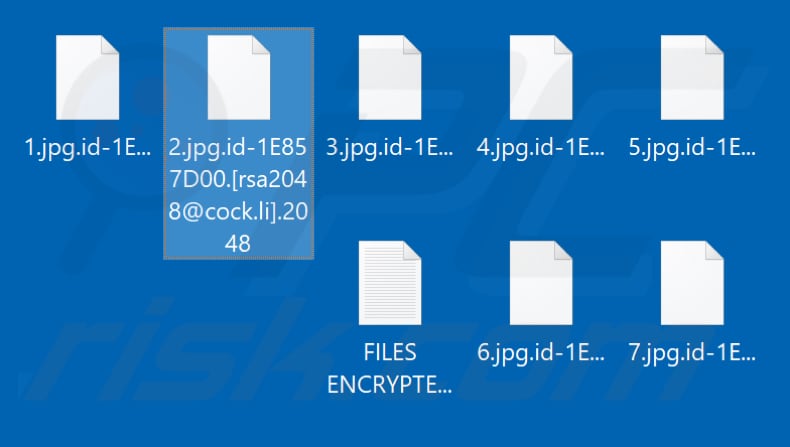 Files encrypted by 2048