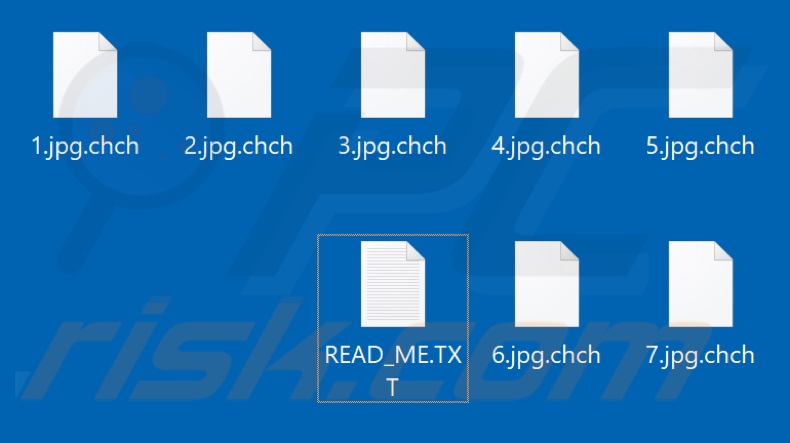 Files encrypted by Chch ransomware (.chch extension)