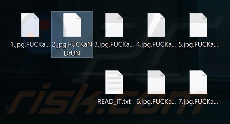 Files encrypted by F*CKaNDrUN