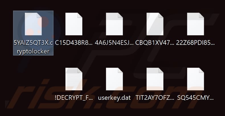 Files encrypted by Rapid (.cryptolocker) ransomware (.cryptolocker extension)