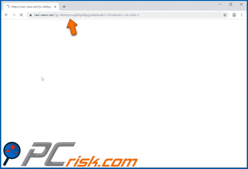 real-news[.]net website appearance (GIF)