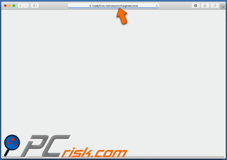 Appearance of mainsourceofupgrade[.]best scam (GIF)