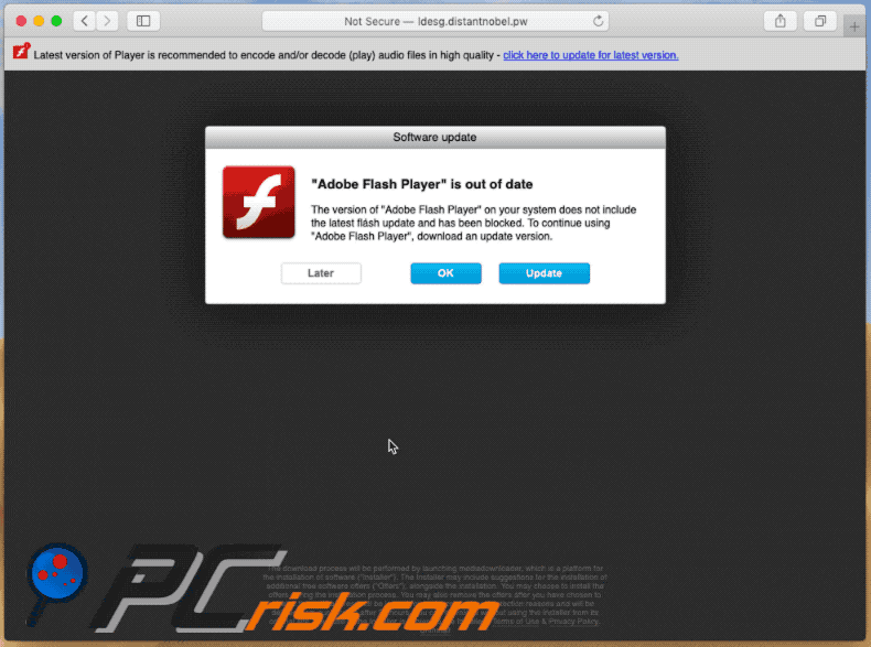 adobe flash player is out of date scam appearance