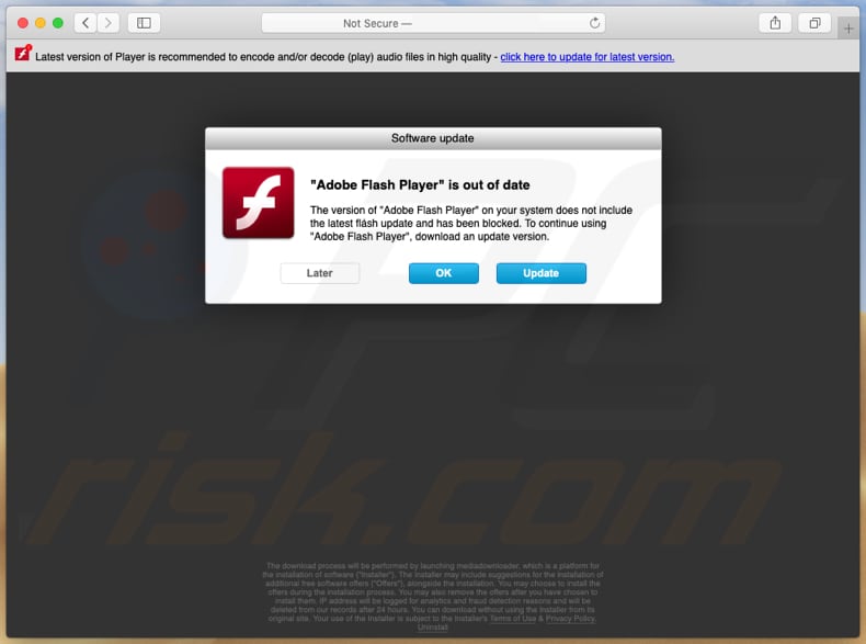 Flash Player Update Download New Version POP-UP Scam (Mac