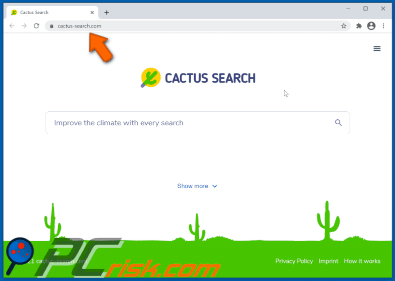 Cactus Search browser hijacker redirecting to Google (GIF)
