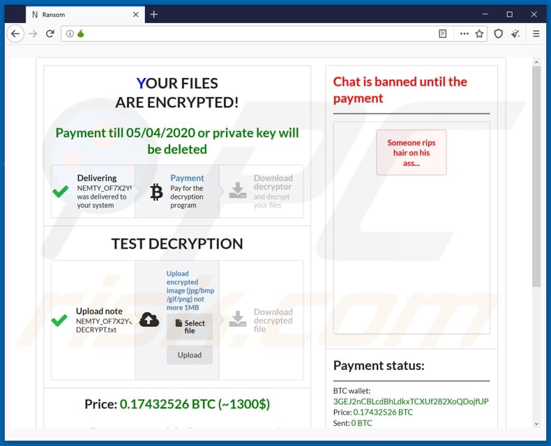 NEMTY 2.5 REVENGE ransomware html file ()
