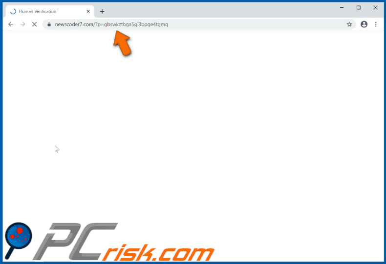 newscoder7[.]com website appearance (GIF)