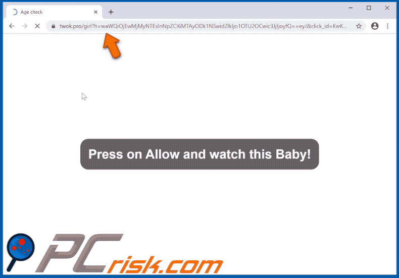 twok[.]pro website appearance (GIF)