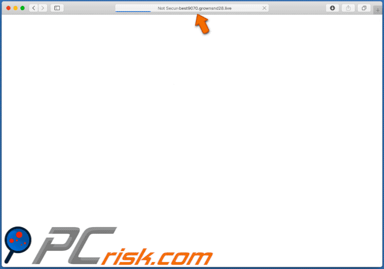 grownsnd redirects to a lottery scam page