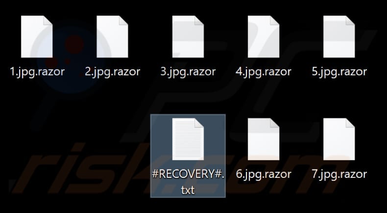 Files encrypted by Razor ransomware (.razor extension)