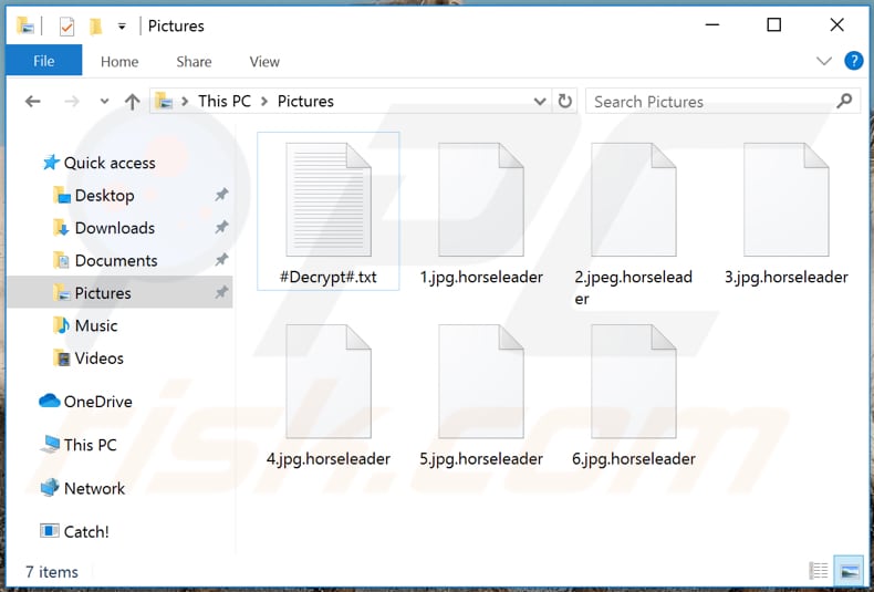 Files encrypted by Horseleader ransomware (.horseleader extension)
