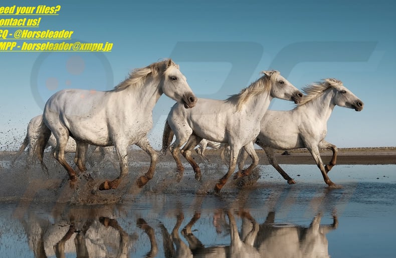 Horseleader ransomware wallpaper ()