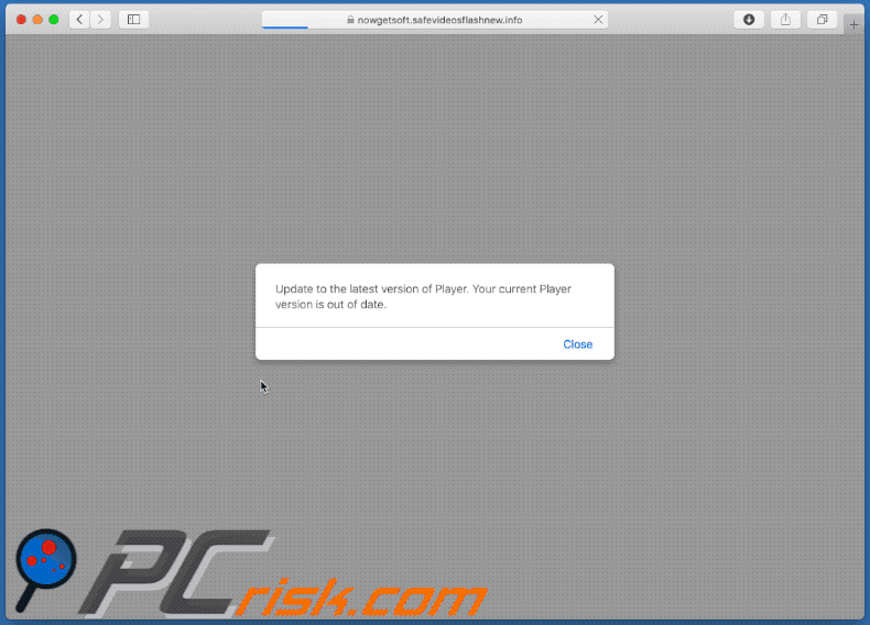 Adobe Flash Player 19 Beta Now Available for Download