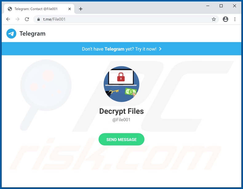 Rails ransomware chat website (Telegram)
