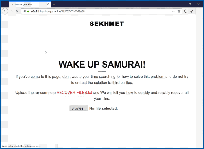 Sekhmet ransomware website (GIF)