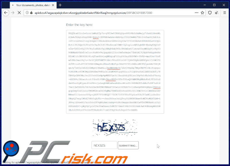 Sodinokibi ransomware website appearance