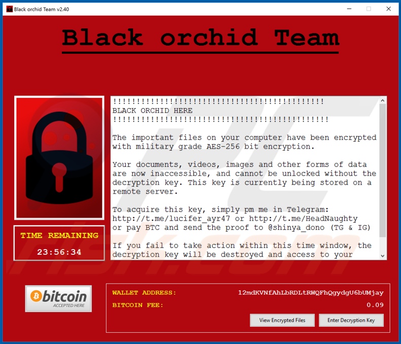 BlackOrchid decrypt instructions (pop-up)