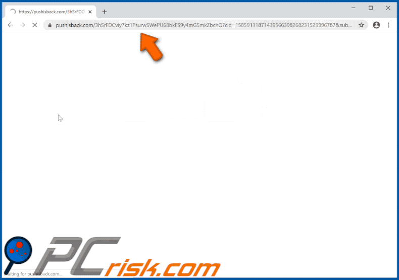 pushisback[.]com website appearance (GIF)