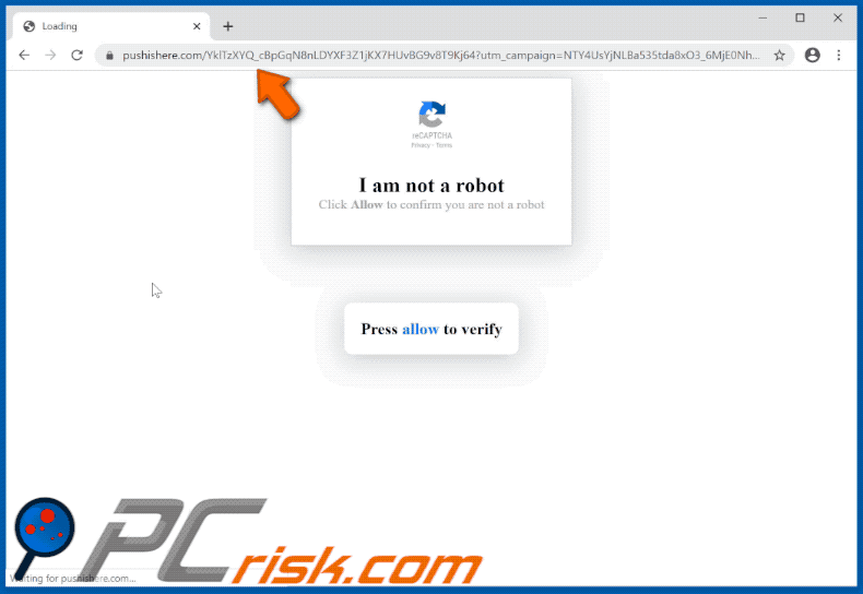 pushishere[.]com website appearance (GIF)