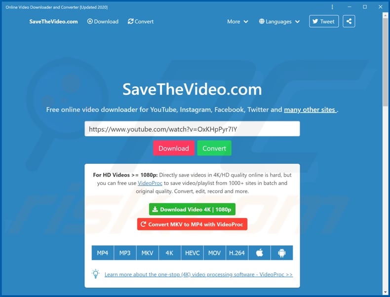 Appearance of the software promoted by savethevideo[.]com