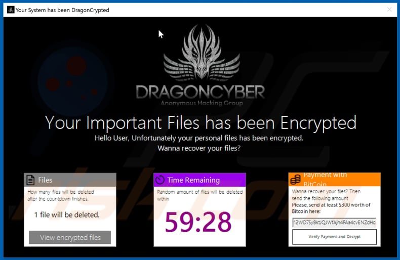 DragonCyber decrypt instructions (pop-up window)