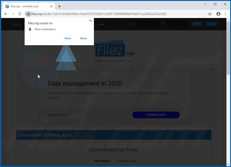 filez[.]top asking to enable notifications