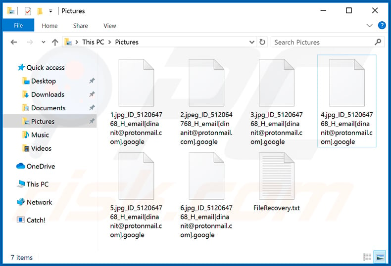 Google ransomware encrypted files (_ID_[victims_ID]_H_email[dinanit@protonmail.com].google extension)