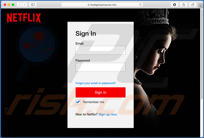 thedigitalpresense.info netflix phishing website