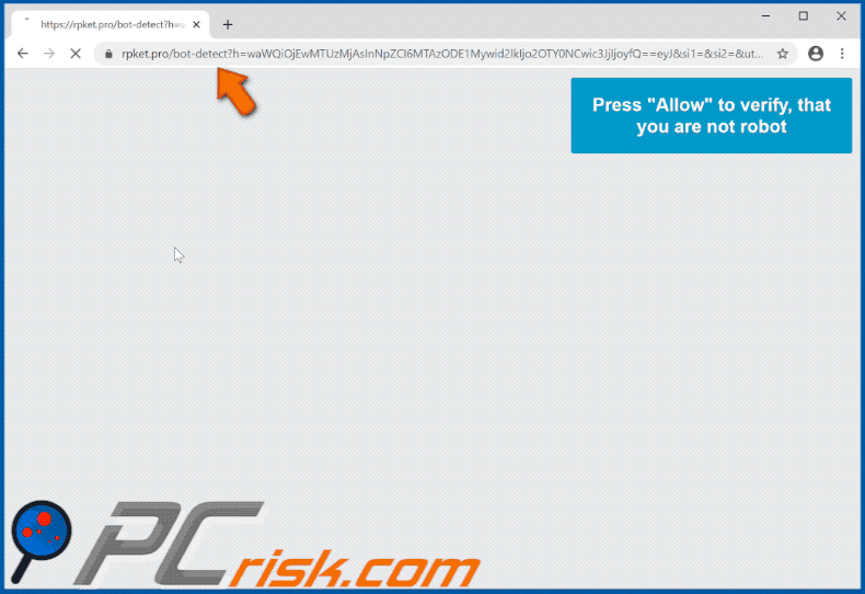 rpket[.]pro website appearance (GIF)