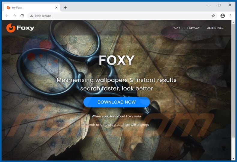 Website used to promote Foxy Newtab browser hijacker