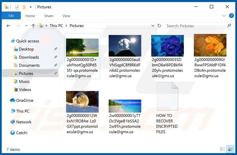 Files encrypted by Protomolecule ransomware (.protonmolecule@gmx.us extension)