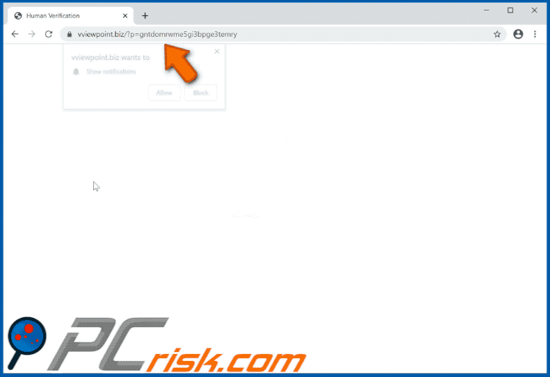 vviewpoint[.]biz website appearance (GIF)