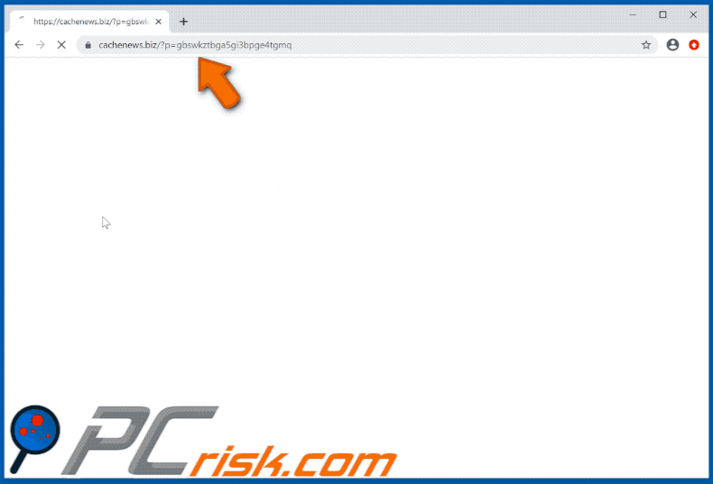 cachenews[.]biz website appearance (GIF)