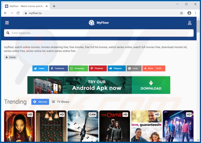 What is MyFlixer.com?