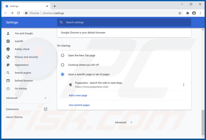 Removing puppyness.club from Google Chrome homepage