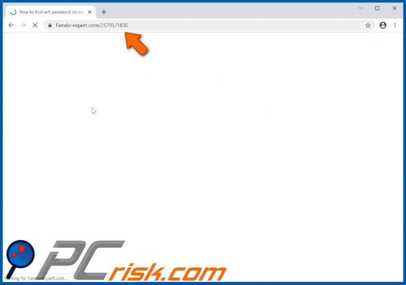 endo-expert[.]com website appearance (GIF)