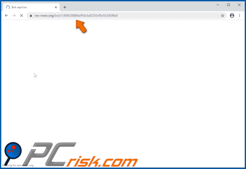 rex-news[.]org website appearance (GIF)