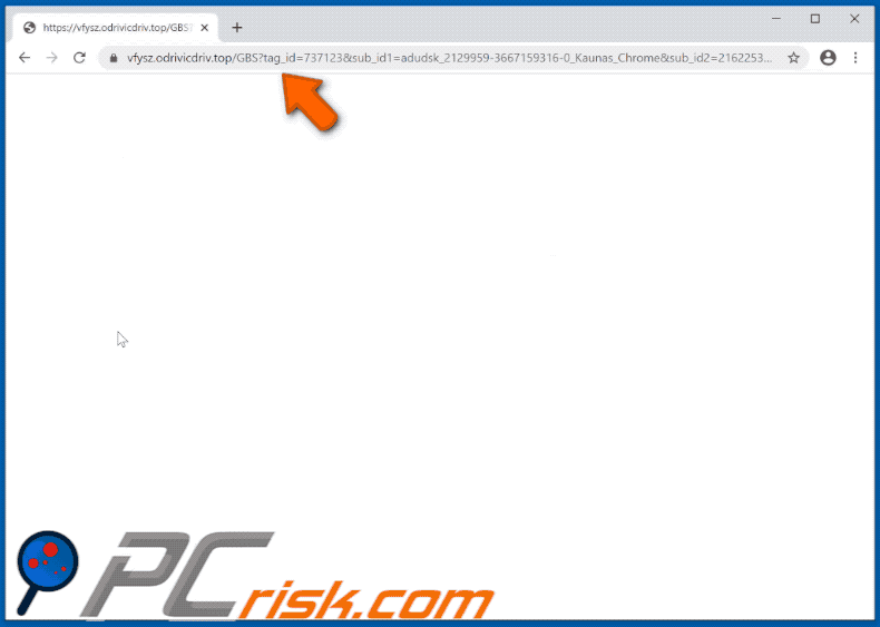 odrivicdriv[.]top website appearance (GIF)