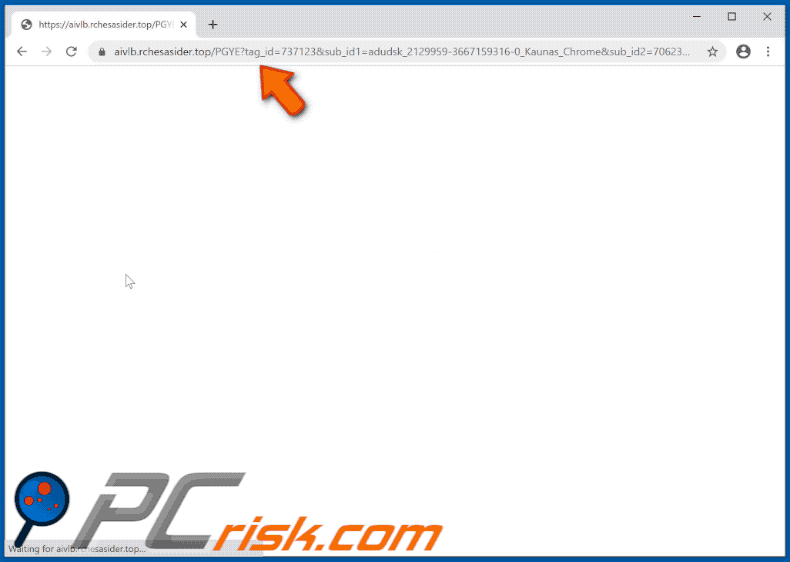 rchesasider[.]top website appearance (GIF)