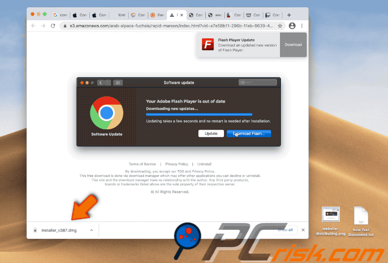 Appearance of a fake Adobe Flash Player installer used to inject Wise Mac Care