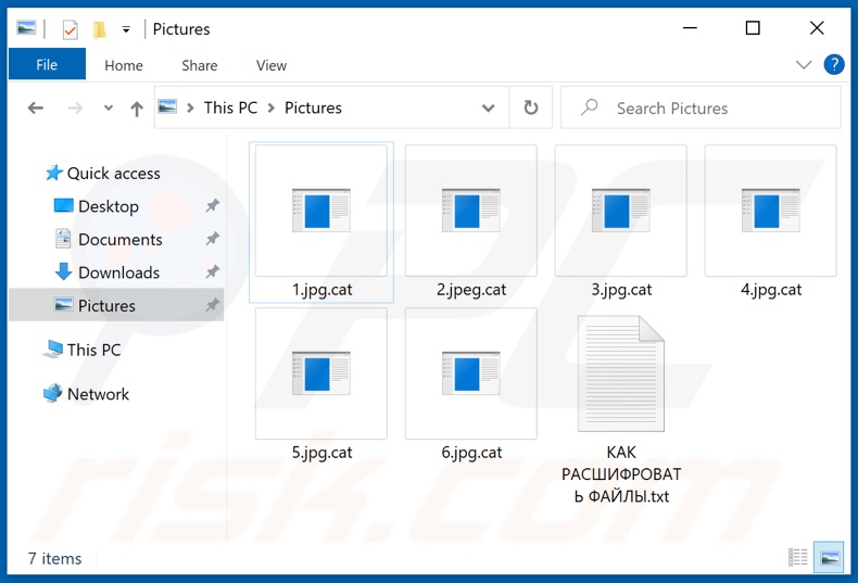 Files encrypted by Cat (Xorist) ransomware (.cat extension)