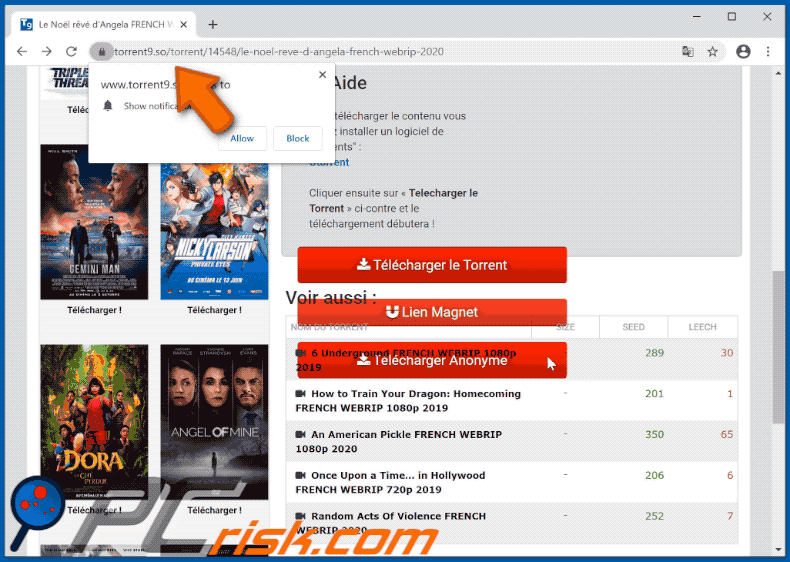 torrent9.so redirects to another website