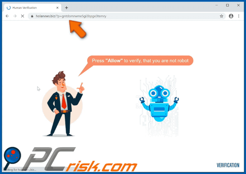 holanews[.]biz website appearance (GIF)