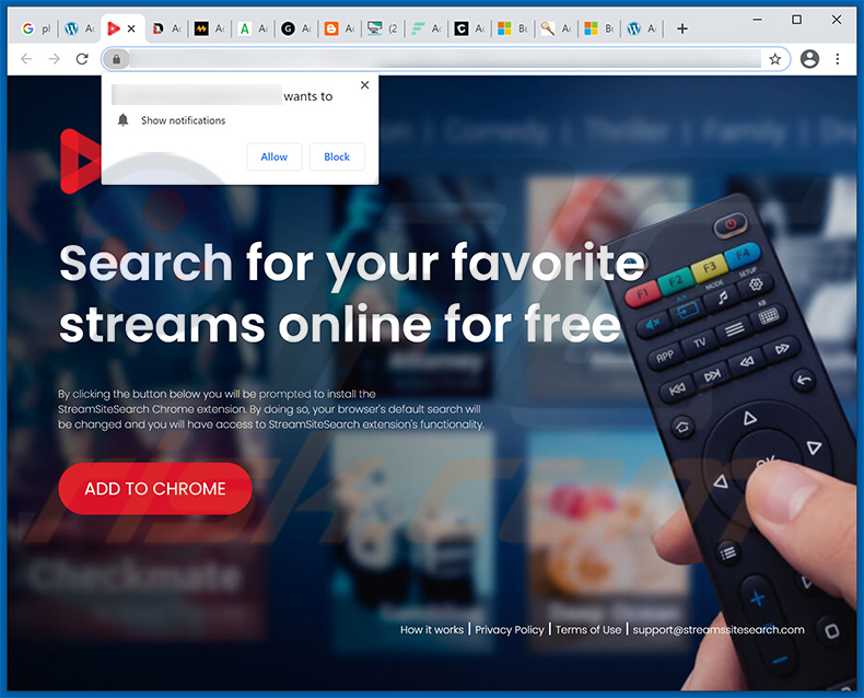 Website promoting StreamSiteSearch browser hijacker (sample 2)