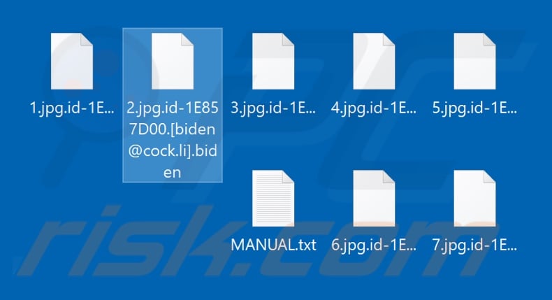 Files encrypted by Biden ransomware (.biden extension)