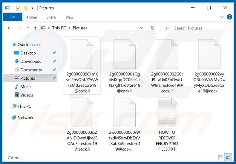 Files encrypted by Restore19 ransomware ([random_string].restore19@cock.li pattern)