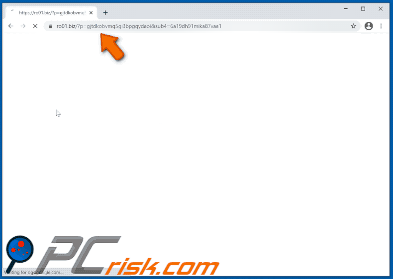 ro01[.]biz website appearance (GIF)